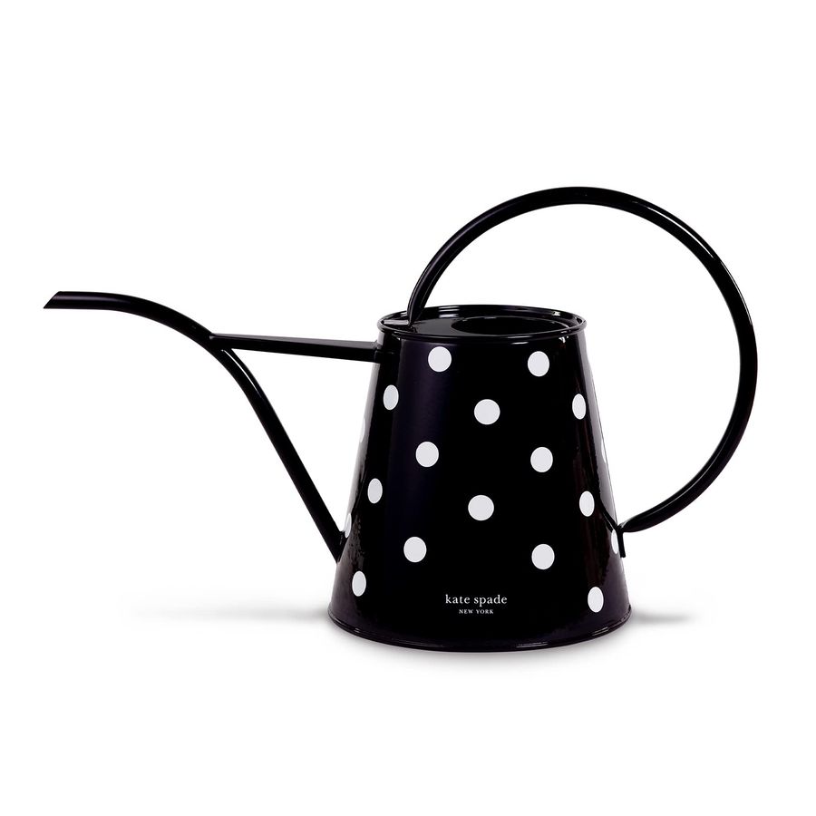 Gardening Tools For Women - 2.5 Liter Indoor Watering Can, Metal