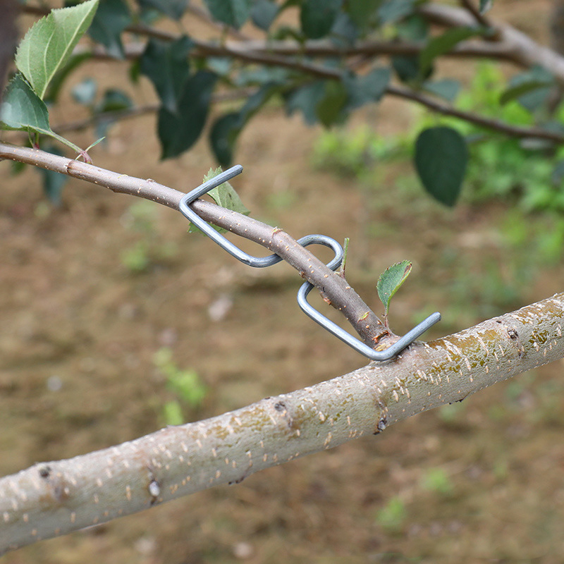 Gardening Tools Wholesale - 30pcs/set Fruit Tree Branch Puller Hook