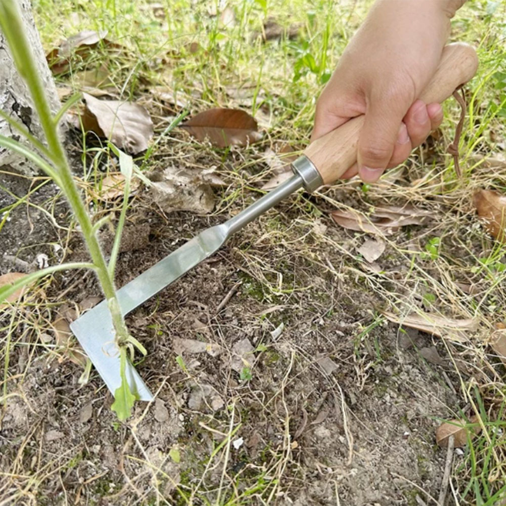 Stainless Steel Gap Weeding To – Gardening Hand Tools Yard Bewertung und Preis