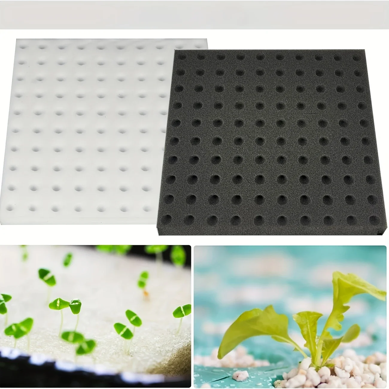 Greenhouse Sponge Vegetable Bu – Gardening Tools Vegetables Bewertung und Preis