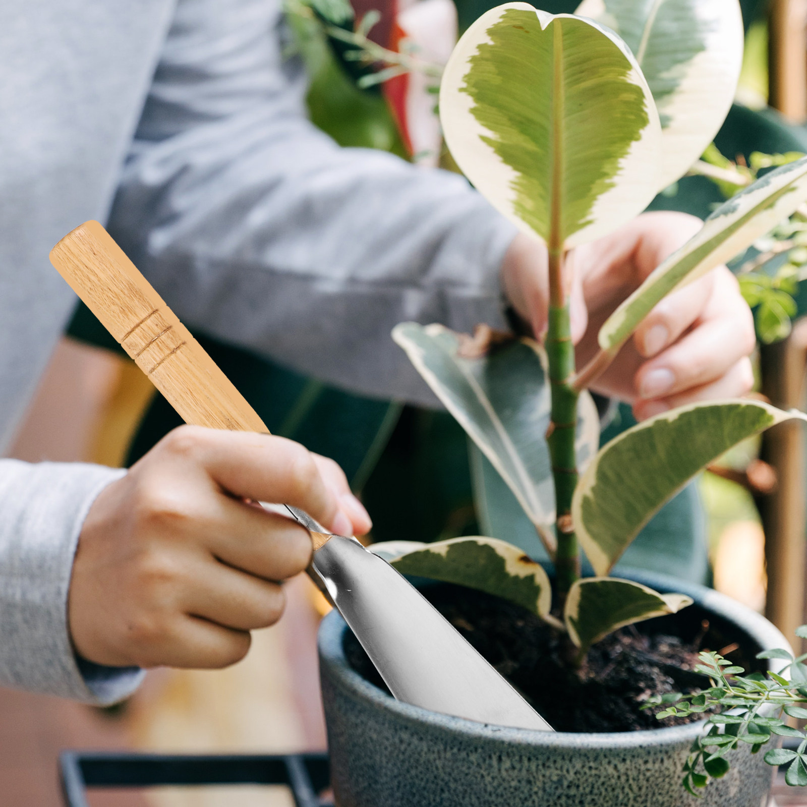 Wood Handle Small Gardening Tr – Gardening Hand Tools Yard Bewertung und Preis
