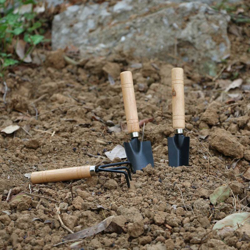 3Pcs/Set Mini Garden Tool Set  – Gardening Tools Wholesale Bewertung und Preis