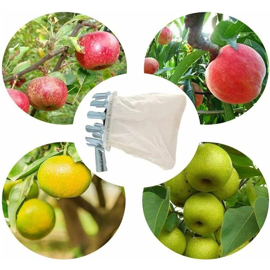 3-in-1 Fruit Harvesting Tool S – Gardening Tools Wholesale Bewertung und Preis