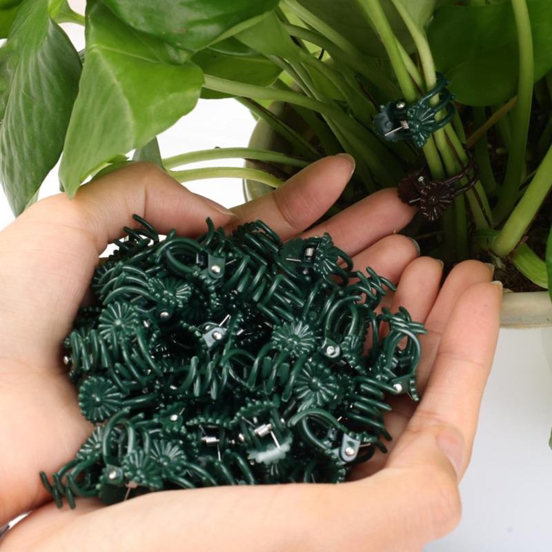 Wholesale Mini Plant Support C – Gardening Tools Wholesale Bewertung und Preis