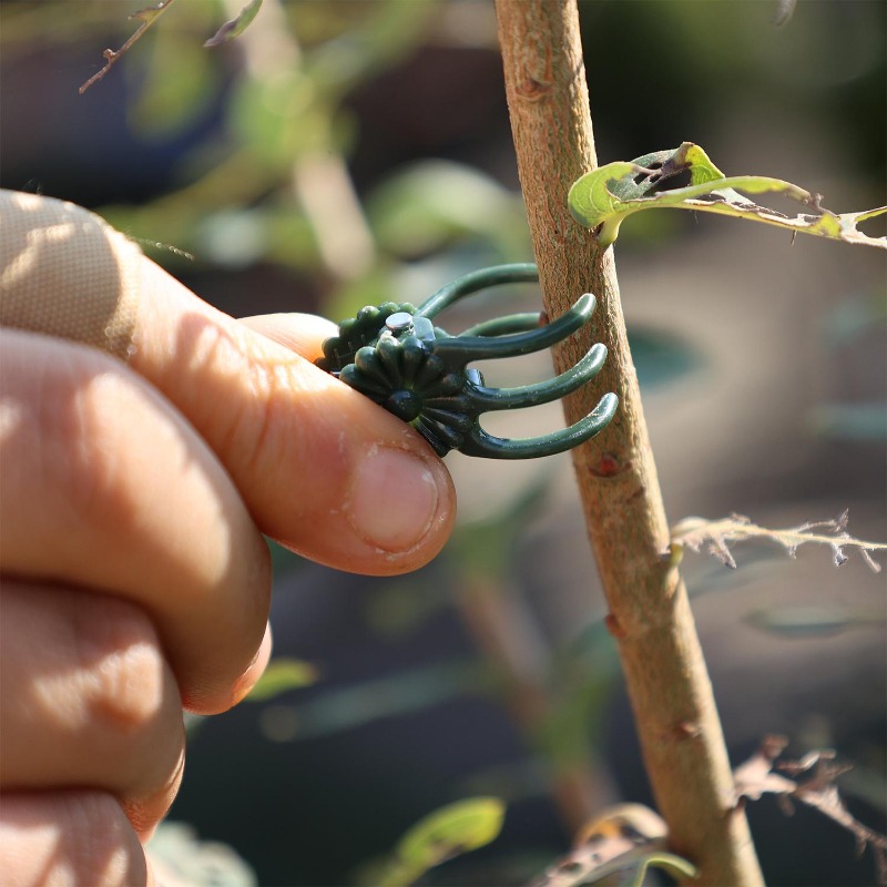 Wholesale Mini Plant Support C – Gardening Tools Wholesale Bewertung und Preis