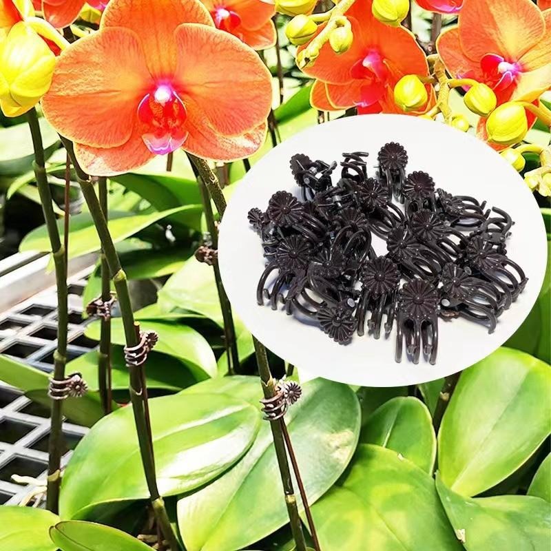 Wholesale Mini Plant Support C – Gardening Tools Wholesale Bewertung und Preis
