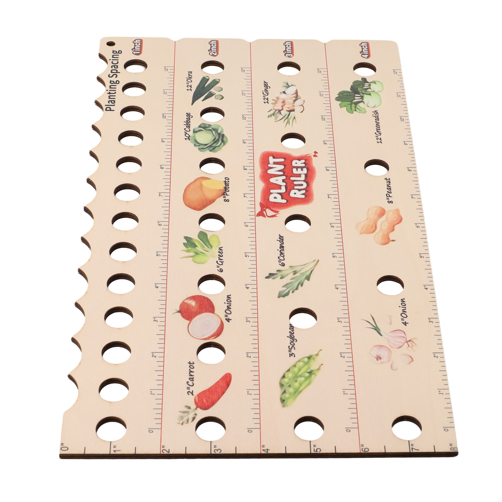 High Quality Plant Ruler Plant – Gardening Tools Vegetables Bewertung und Preis
