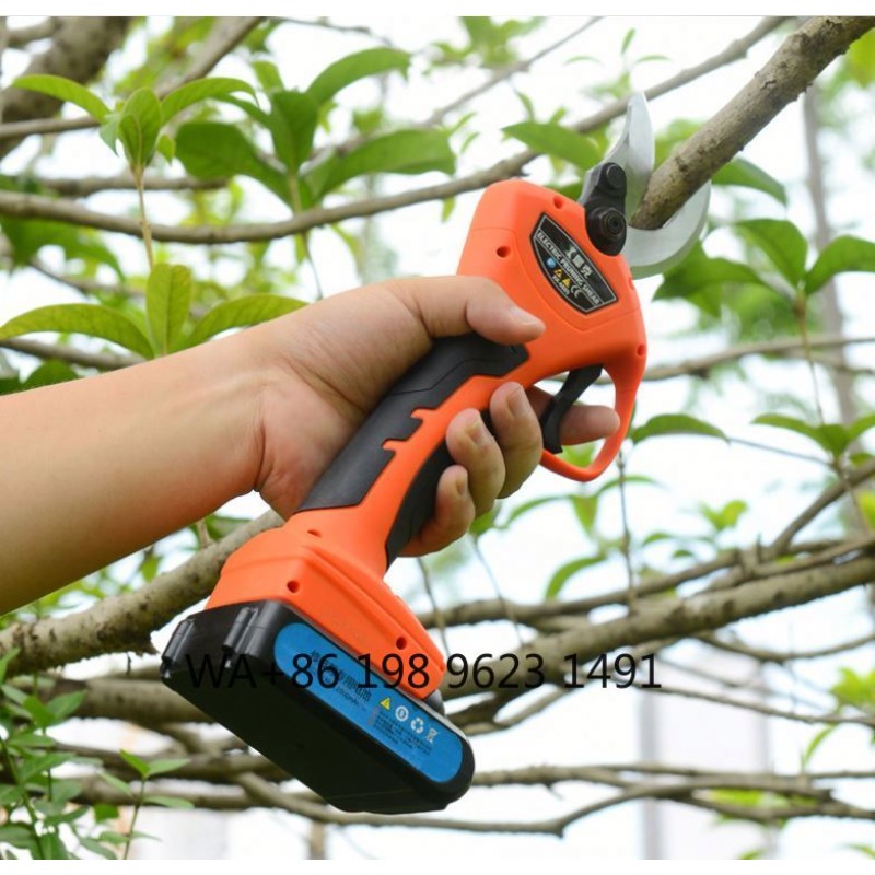 Lightweight cordless garden pr – Gardening Tools Range Bewertung und Preis