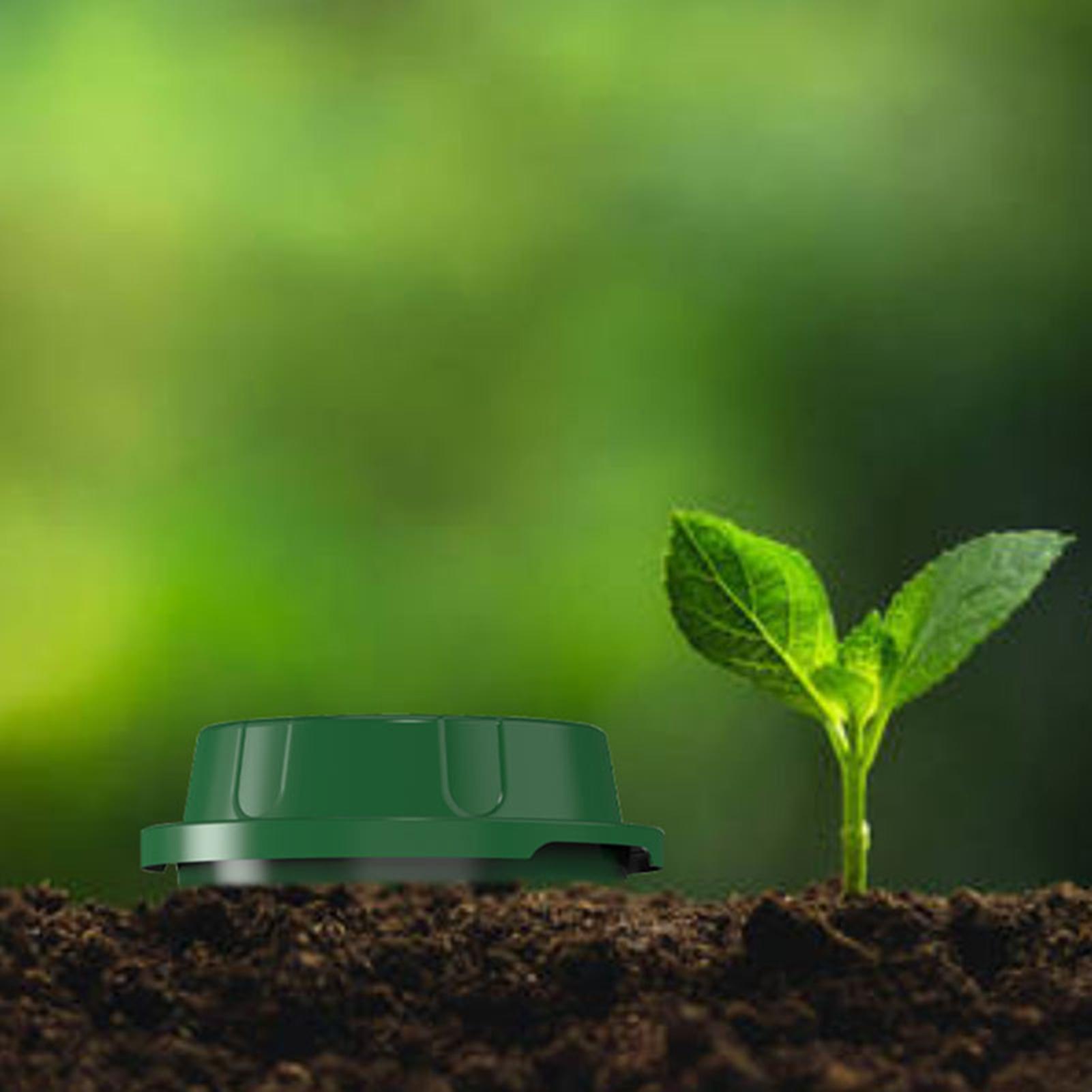 Inground Worm Composter With V – Compost Bin Bewertung und Preis