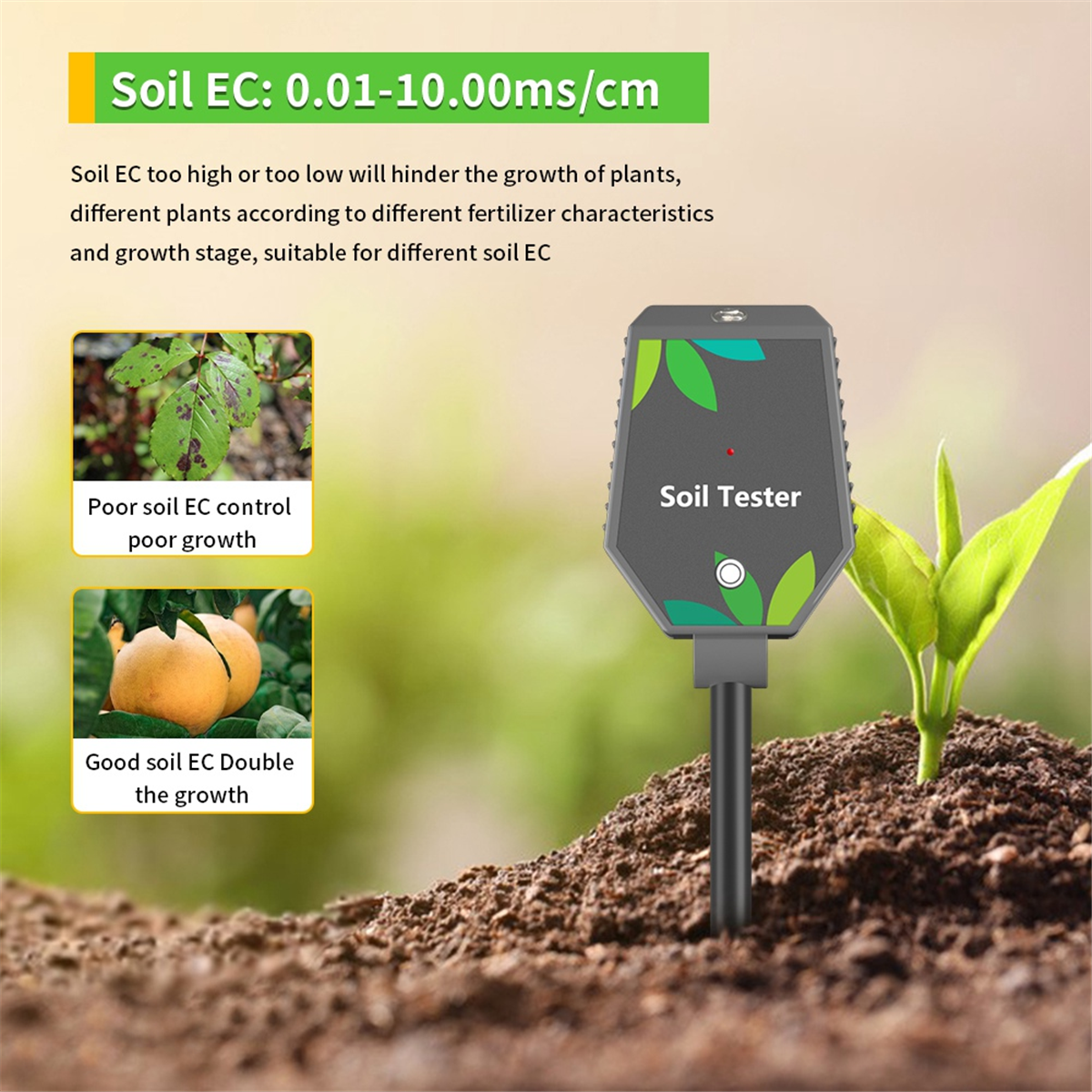 A06K 8 in One Multifunction So – Soil Ph Meter Bewertung und Preis