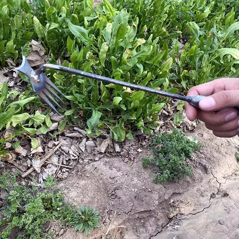 Garden Weeders Grass Hand Weed – Gardening Tools To Remove Grass Bewertung und Preis