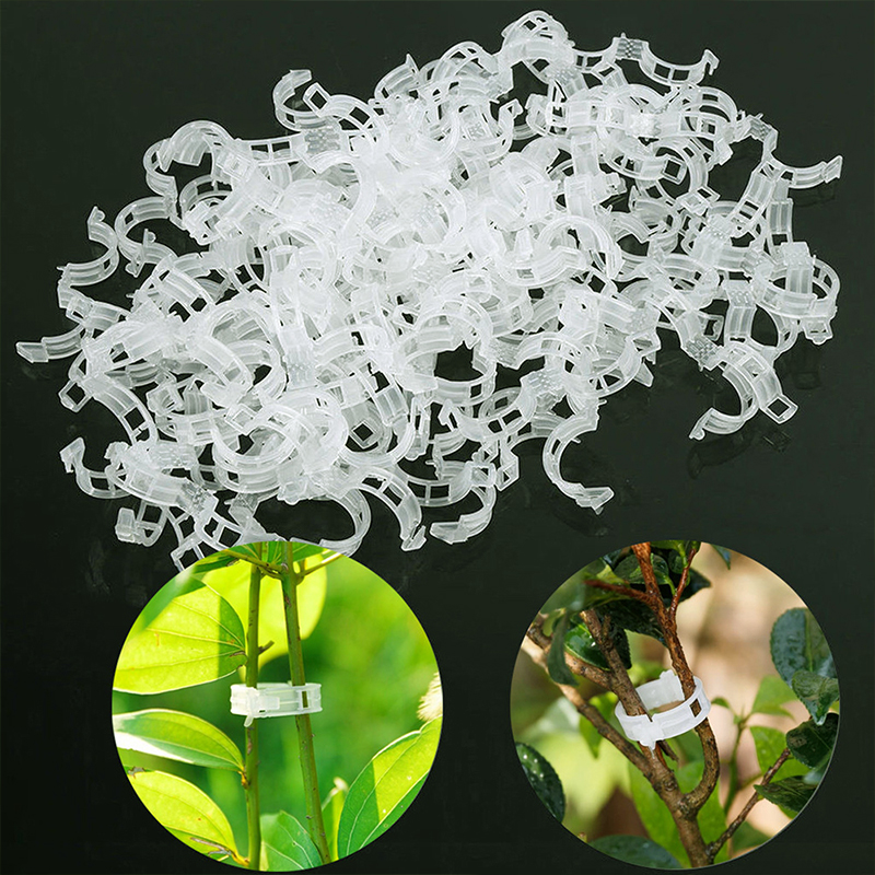 Plant Clips Supports Reusable  – Gardening Tools Vegetables Bewertung und Preis
