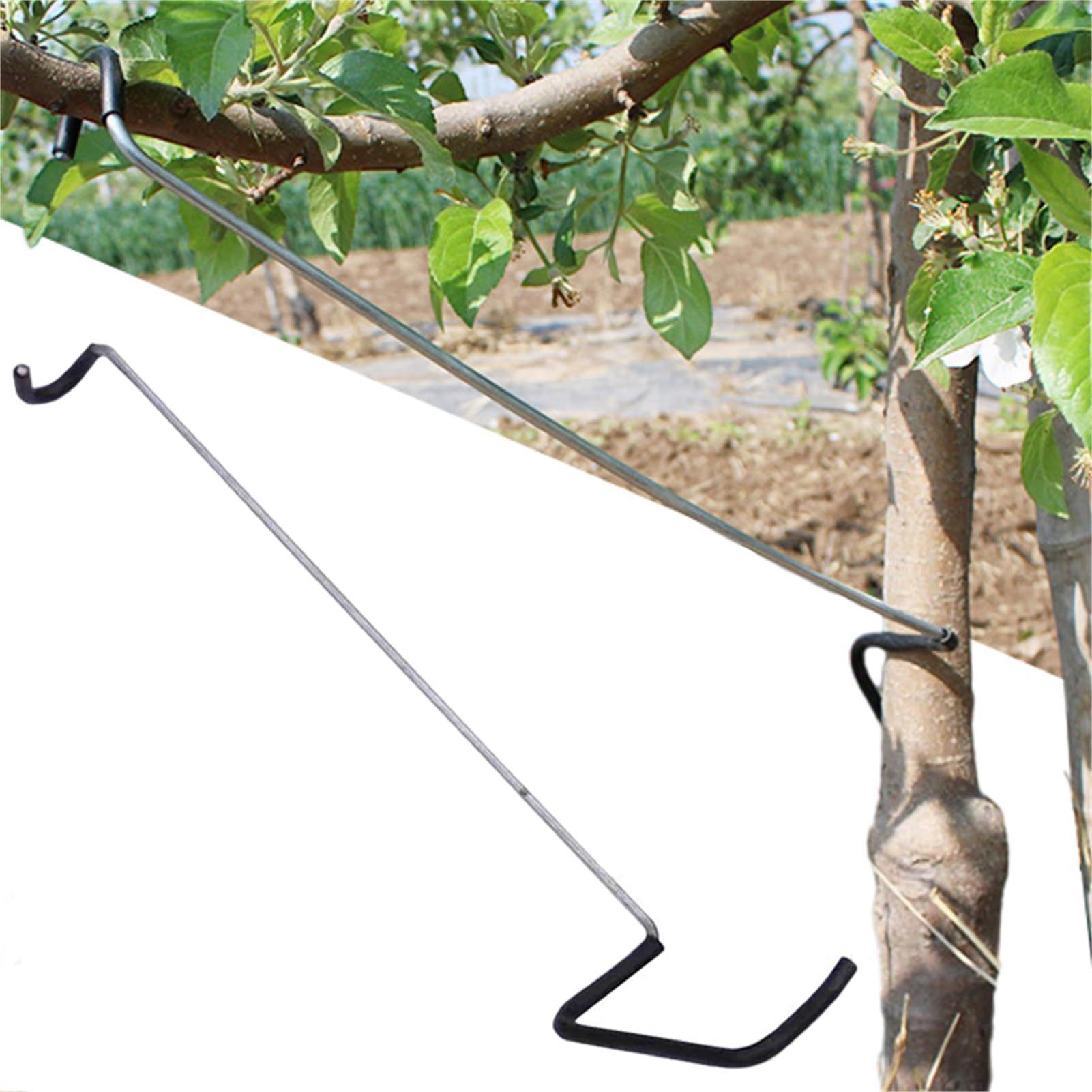 Fruit Tree Branch Spreader 10P – Gardening Tools Wholesale Bewertung und Preis