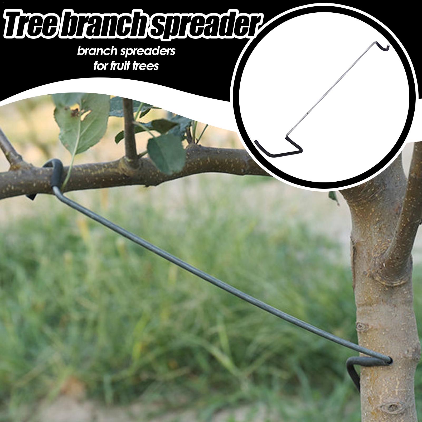Fruit Tree Branch Spreader 10P – Gardening Tools Wholesale Bewertung und Preis