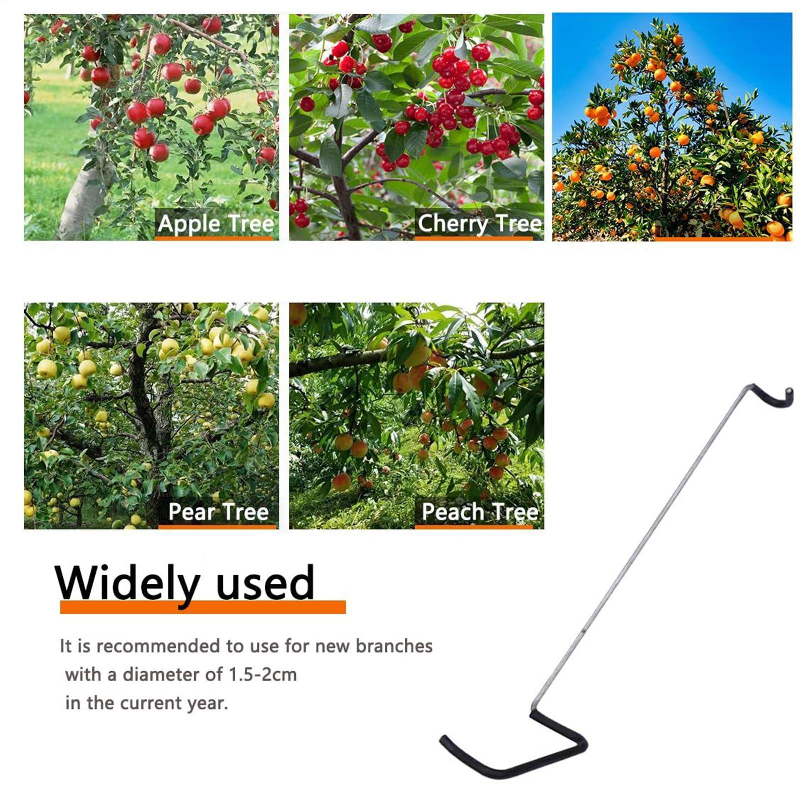 Fruit Tree Branch Spreader 10P – Gardening Tools Wholesale Bewertung und Preis