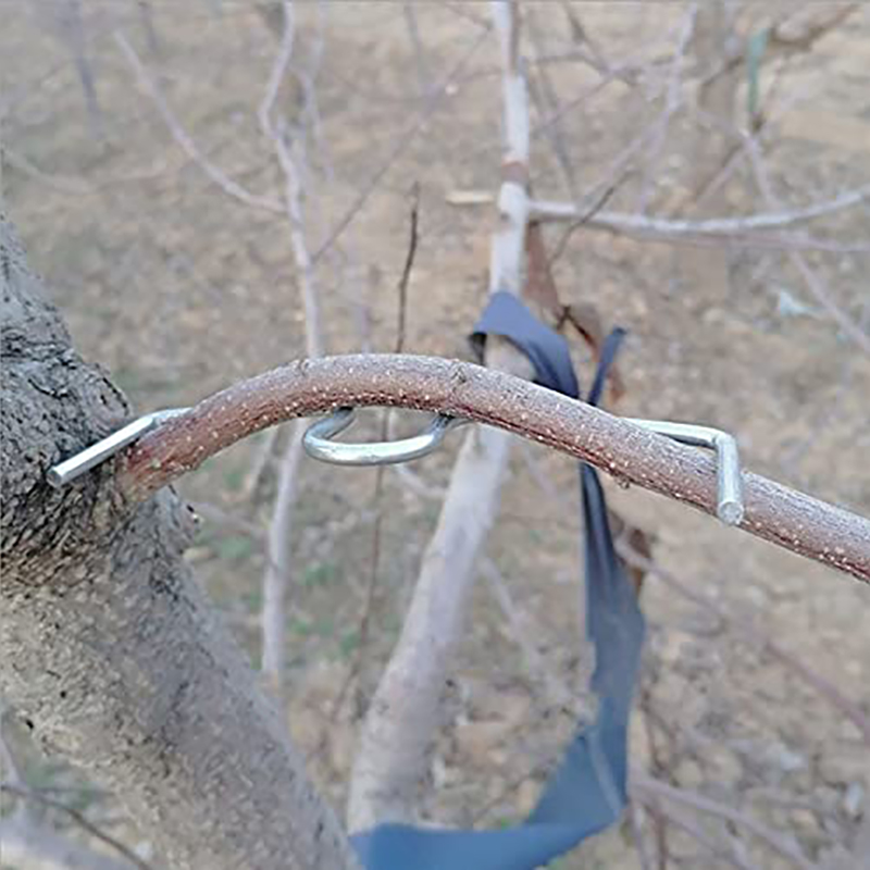 30pcs/set Fruit Tree Branch Pu – Gardening Tools Wholesale Bewertung und Preis