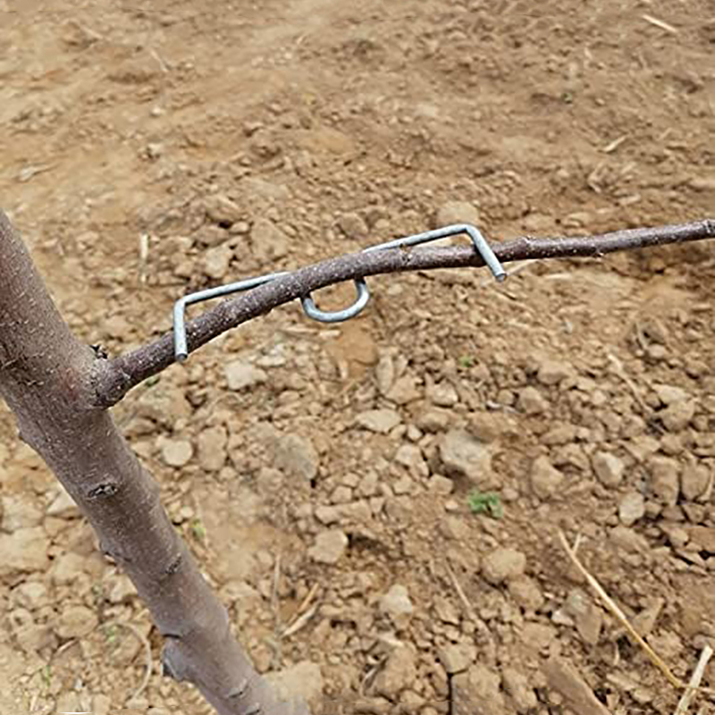 30pcs/set Fruit Tree Branch Pu – Gardening Tools Wholesale Bewertung und Preis