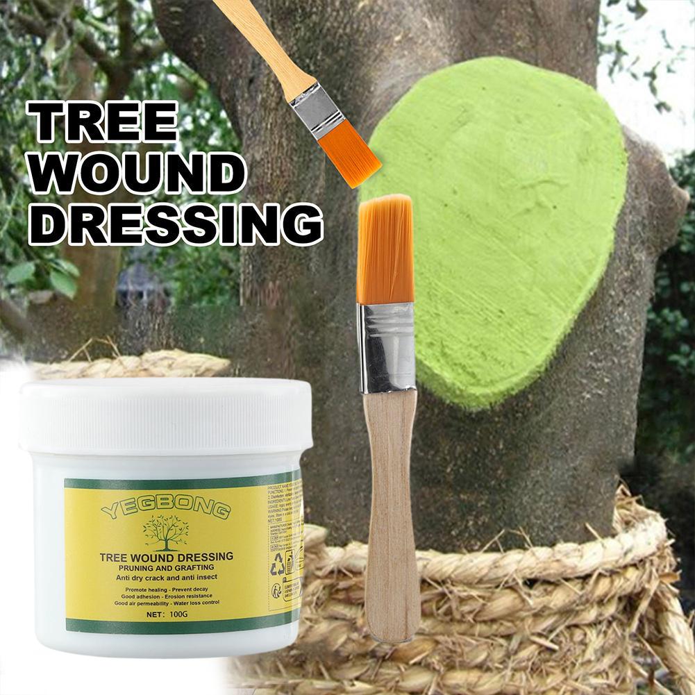 100g Tree Grafting Paste Tree  – Grafting Tape Bewertung und Preis