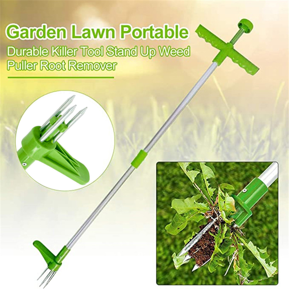 Easily Carrying Weed Remover G – Gardening Tools To Remove Grass Bewertung und Preis