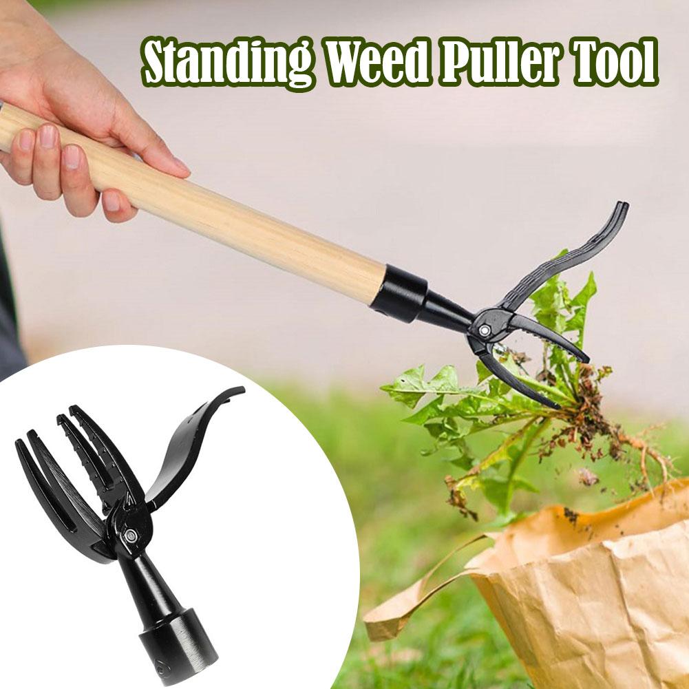 Weed Puller Claw Tool Engineer – Gardening Tools To Remove Grass Bewertung und Preis
