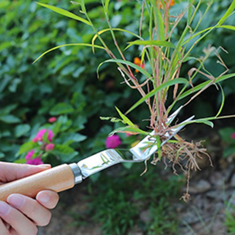 Grass Remover Multifunctional  – Gardening Tools To Remove Grass Bewertung und Preis