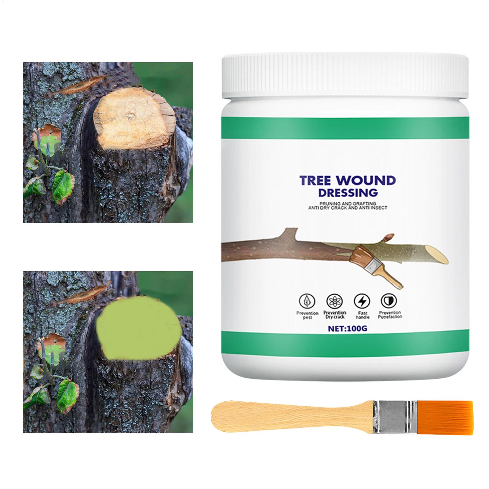 Tree Grafting Paste Tree Wound – Gardening Tools For Women Bewertung und Preis