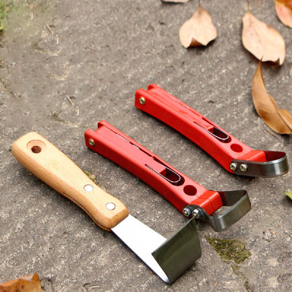 Fruit Tree Rot Scraping Bark K – Essential Gardening Tools Bewertung und Preis