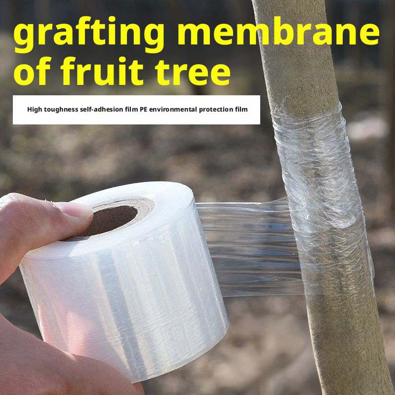Eco-Friendly Biodegradable Gra – Grafting Tape Bewertung und Preis