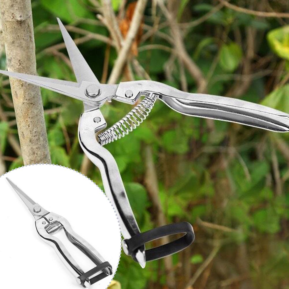 Pruner Pruning Shears Gardenin – Gardening Hand Tools Yard Bewertung und Preis